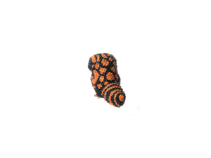 Lézard Roi Série Heloderma Suspectum Animal Artificiel Modèle Décoration Résine Lézard Ornement - Product Image 6
