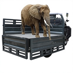 Triciclo de 12V con Carrocería Abierta, Alta Capacidad de Carga 400kg+, Autonomía de 30-50km, Homologación EEC - Product Image 4