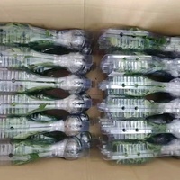 Emballage en blister à clapet durable pour les plantes vivantes, les semis, les plantes en pot, le transport, l'emballage de protection