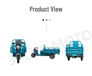 Electric Cargo <strong>Trike</strong> <strong>Mini</strong> Tricycle 3000w Truck 3 Wheel Electric <strong>Bike</strong> for Transportation - Product Image 2