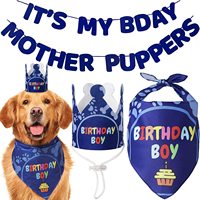 Ensemble d'accessoires d'anniversaire réglables pour animaux de compagnie : chapeau, bandana triangulaire et foulard pour fête d'anniversaire de chien