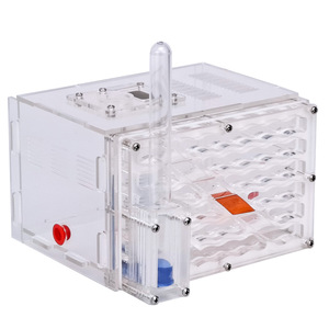 Ant Kingdom Palace Villa Castle Rectangular Eco Box Ant Village Pet Ant Tribe Home Acrylic Nest Ant Warehouse - Product Image 5