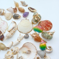 Berbagai Liontin Kerang Pantai Scallop Baru yang Cantik, Gaya Conch, Berlapis Emas Alami, Liontin Kerang Kecil Nan Indah, Manik-Manik Kerang Kecil Nan Menawan