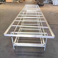 Lits de roulement en treillis métallique en acier personnalisé hydroponique Tables de culture Lit de semence de pépinière