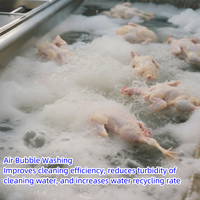 Équipement d'abattoir de poulets personnalisé Équipement de refroidissement de volaille Refroidisseur d'eau à immersion pour poulets et canards