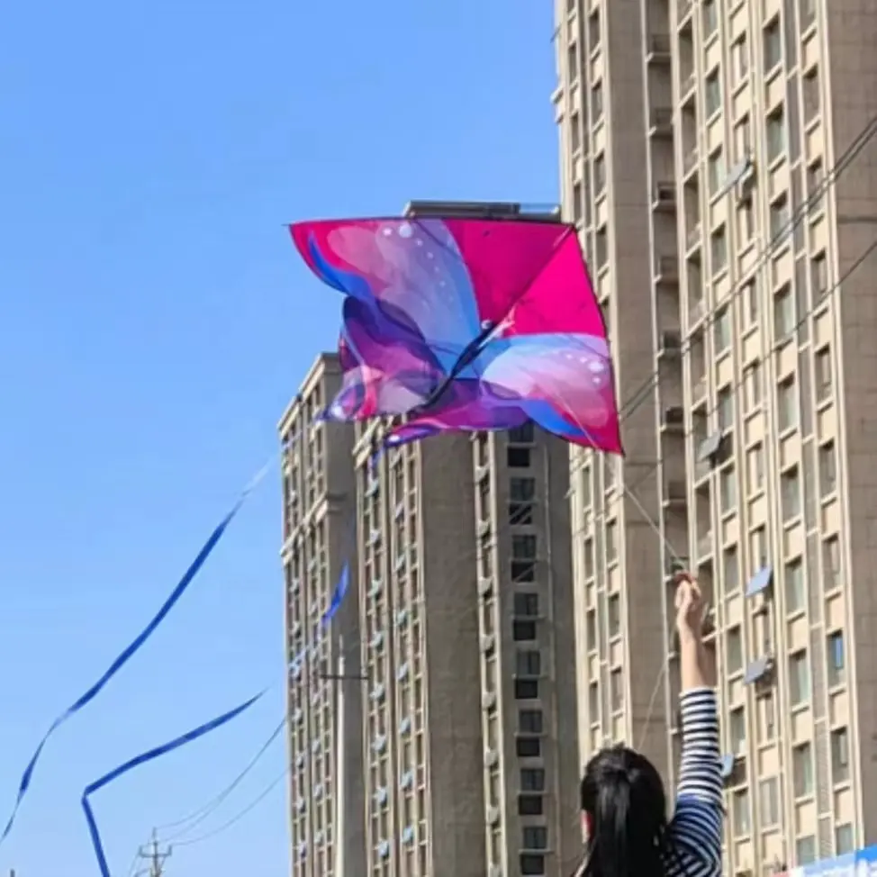Promocional china personalizado alta qualidade delta forma kite novo design desenho animado bonito gatos