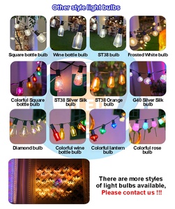 Guirnalda de Navidad para interiores y exteriores, iluminación decorativa US G40 25FT 50FT 60FT 100FT para jardín, boda, globo Solar, cadena de luces LED - Product Image 2