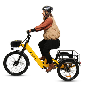 TXED Promotion Tricycle Électrique Urbain à 3 Roues pour Adultes, 36V 250W, Cadre en Alliage, Frein à Tambour, Écran LCD, Accélérateur, pour Livraison Urbaine - Product Image 3