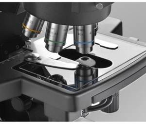 BestScope BS-2081 Inclinable 0-35. Système optique biologique trinoculaire NIS SW10X25, LED, pour la histologie - Product Image 4