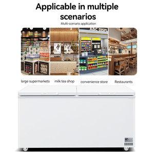 Congélateur Vitrine Commercial de Grande Capacité 1000 L à Double Porte pour Crèmes Glacées et Surgelés, Idéal Supermarché et Épicerie - Product Image 6