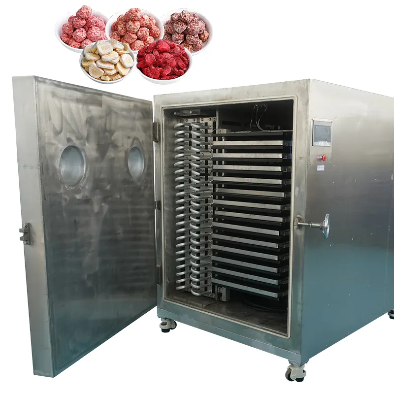 Cheapest price food freeze dryer food fruits vegetables vacuum freeze drying equipment freeze dryer food