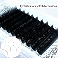 Cils en volume russe Everrich avec logo personnalisé en gros, 0,05 mm, 0,03, 0,07, en soie, faciles à éventailer, cils en fleurs, extensions de cils