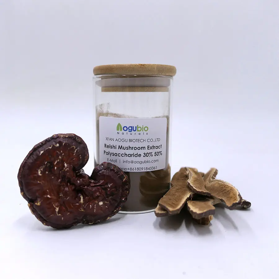 Huile de spore reishi biologique de haute qualité au meilleur prix