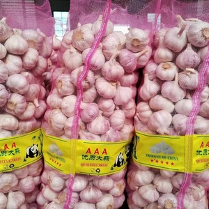 Ail Blanc <span class=keywords><strong>Frais</strong></span> en Gros, Fournisseur Chinois Fiable, Ail <span class=keywords><strong>Frais</strong></span> en Vrac, Ajo Chino, Ajos Frescos, <span class=keywords><strong>Légumes</strong></span> <span class=keywords><strong>Frais</strong></span> - Product Image 4