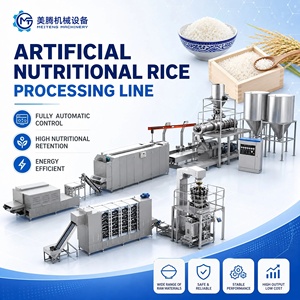 Ligne de production de riz artificiel nutritif à faible coût d'exploitation, machine de reproduction de riz cassé recyclé et de riz fortifié - Product Image 1