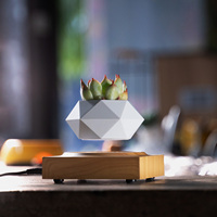 Pot de fleurs flottant à lévitation magnétique HCNT, en plastique ABS, alimenté électriquement, lévitation 12-15 mm, cadeau personnalisé pour la maison