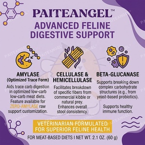 Polvo de Enzimas Digestivas Felinas Optimizado para la Digestión de Proteínas y Grasas en Dietas a Base de Carne, Frasco de 60g, PAITEANGEL - Product Image 4