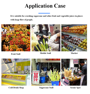 Mesin Pemeras Tebu Manual <span class=keywords><strong>Mini</strong></span> Kecil, Ekstraktor Jus Tebu, Dioperasikan dengan Tangan, Hemat Energi - Product Image 6