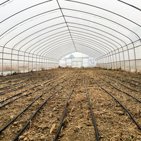 Serre de culture en Tunnel, serre agricole avec système d'irrigation et de croissance hydroponique