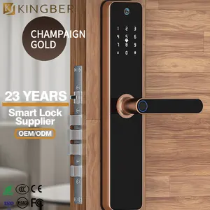 Popular Fingerprint Keyless Anti-Theft Smart Locks Mortise Electronic Intelligent Remote Unlock Smart Door Lock