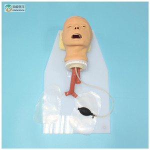 Mô hình đào tạo đặt nội khí quản của con người thực tế BIX-J50 mô phỏng ống thông sinh động - Product Image 2