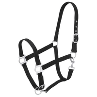 Vente en gros d'articles équestres : Licol en nylon confortable et réglable, avec rembourrage en néoprène durable pour licols