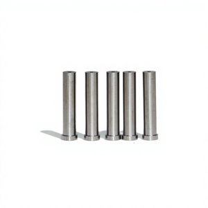 Pasador de carburo escalonado rectificado con precisión 4.76OD×2.08InnerBore×19.05Length para núcleos de moldes de precisión y piezas de boquillas de fluido - Product Image 1