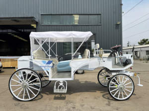 Veicolo Elettrico per Giro Turistico, Carrozza a Bassa Velocità Senza Cavalli per Trasporto Passeggeri / Carrozza a Cavalli Omologata CE - Product Image 3