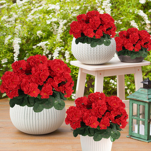 ดอกเบโกเนียประดิษฐ์สีแดง สำหรับตกแต่งภายในและภายนอกบ้านและสวน - Product Image 1