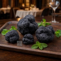 Modèle d'ingrédient alimentaire artificiel hyper-réaliste : Truffe noire de simulation, accessoires de cinéma, kit maître pour le service d'art