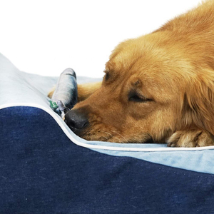 Yıkanabilir ortopedik hafızalı köpük köpek evcil hayvan yatakları ve çıkarılabilir fermuar kapaklı kanepe - Product Image 4