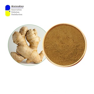 Extracto de raíz de jengibre Premium 20% gingeroles | Soporte digestivo natural y antiinflamatorio | Polvo orgánico Zingiber Officinale - Product Image 1