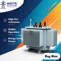 Transformateur immergé dans l'huile haute efficacité 30 kVA 10 kV triphasé, sortie 480 V, bobinage en cuivre, 50/60 Hz pour réseaux électriques ruraux