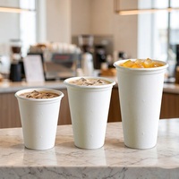 Gobelet en pulpe de bagasse de canne à sucre moulé, jetable, pour boissons froides, 8, 12, 16 oz (240, 360, 480 ml), pour café, bar à thé au lait, bar à jus, boutique de boissons