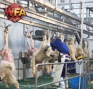 Équipement d'abattage automatique certifié CE pour moutons et chèvres, machines de traitement d'abattoir industriel, équipement d'étourdissement du bétail - Product Image 2