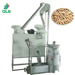 Macchina combinata per la snocciolatura e la lavatrice del grano macchina per la pulizia del grano ad alta efficienza macchina per la pulizia del grano