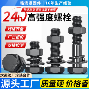 M16 Full Thread Hex Bolt Grade 12.9 Black Oxidized With Nuts For Construction - Product Image 3
