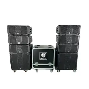 TB TR-210 Dj Pa Concert Passive Dual 10-inch large audio Sound System Pro Box Outdoor Speaker Line Array