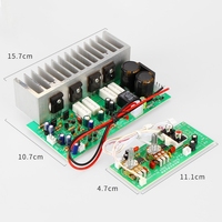 Papan Amplifier Daya Subwoofer SUB-350W, Papan Penguat Daya Mono Kualitas Tinggi Swakriya Papan Penguat Daya Speaker