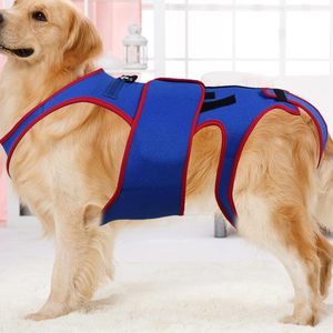 Dog Back Brace Hip Joint Dog Knee Brace for Torn Acl Hind Legs Injuiry Hip Support Recovery and Rehabilitation Dog Back Brace - Product Image 4