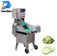 RVS gemotoriseerde 220V keuken snijmachine, voedselhakselaar, groente- en fruitsnijder, multifunctionele machine voor restaurantgebruik