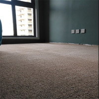 Tapis moelleux et touffu antidérapant, tapis doux pour la chambre à coucher, l'hôtel, le salon - Lavable, adapté à la prière