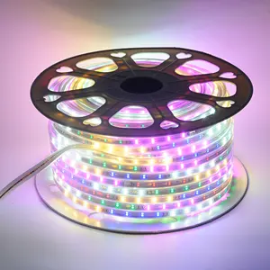 High Brightness Color 2835 RGB 96Led Strip Lamp 220V 10MM Led Silicon Flexible Neon Lamp 100 M Household