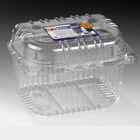 Hotelbestelling: Wegwerp plastic voedselcontainer voor vers fruit met deksel, biologisch afbreekbare schaal, plastic fruitcontainer
