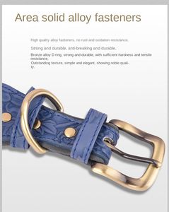 Luxury PU Leather <strong>Dog</strong> <strong>Collar</strong> for Large <strong>Medium</strong> &amp; Small <strong>Dogs</strong> Embossed Print &amp; Ribbons Decoration Solid Pattern Cotton <strong>Padded</strong> - Product Image 4
