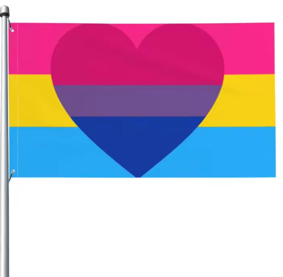 Bi Pansexuale Biromantico3