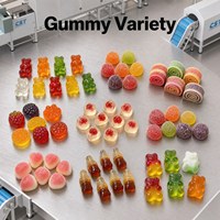 Ligne de production automatique CST pour la fabrication de bonbons gélifiés halal, de biscuits et de oursons gélifiés