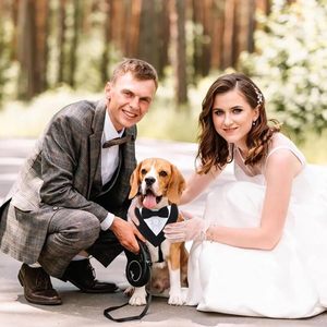 Tanpopo Chất Lượng Cao Con Chó Cổ Áo Tuxedo Bow Tie Nước Bọt Khăn Cà Vạt Khăn Yếm Trang Phục Chính Thức Bowknot Bandana Đáng Yêu Vật Nuôi Phụ Kiện - Product Image 2