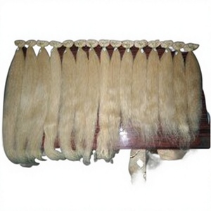Extensions de cheveux vierges indiennes Remy blanchies à double trame 613, 100g - Product Image 1
