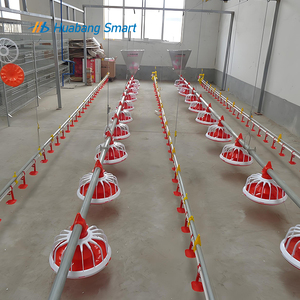 Оборудование для птицеводства, автоматическая система кормления птицы - Product Image 3